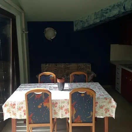 克里斯蒂娜别墅公寓 *